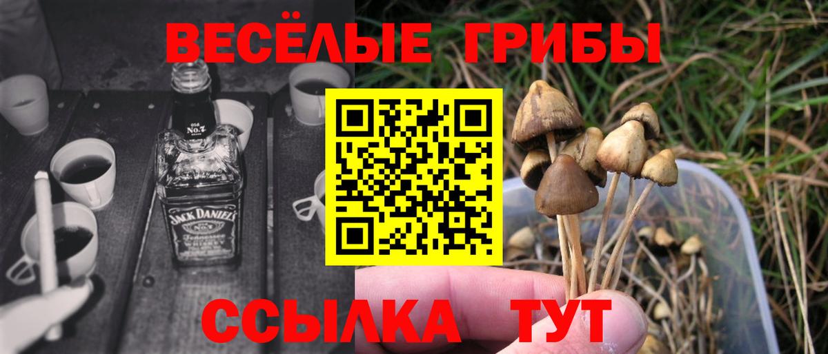 Псилоцибиновые грибы мухоморы  Вход с VPN  Полевской 